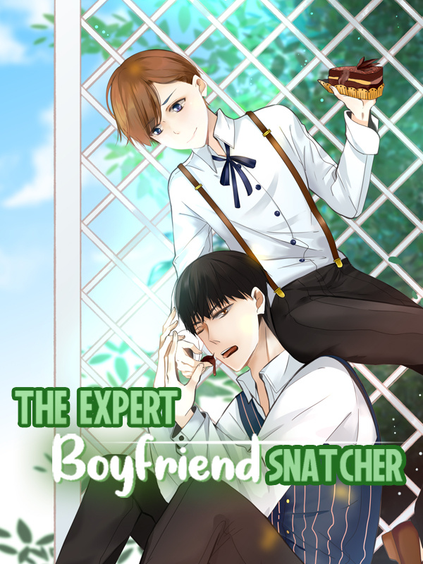 The Expert Boyfriend Snatcher Comic