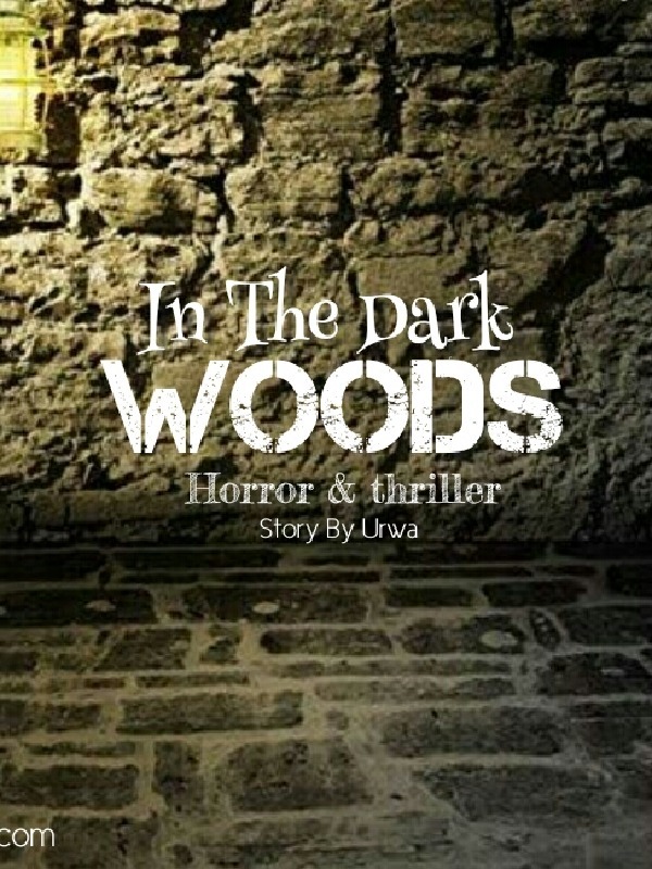 In The Dark Woods Book