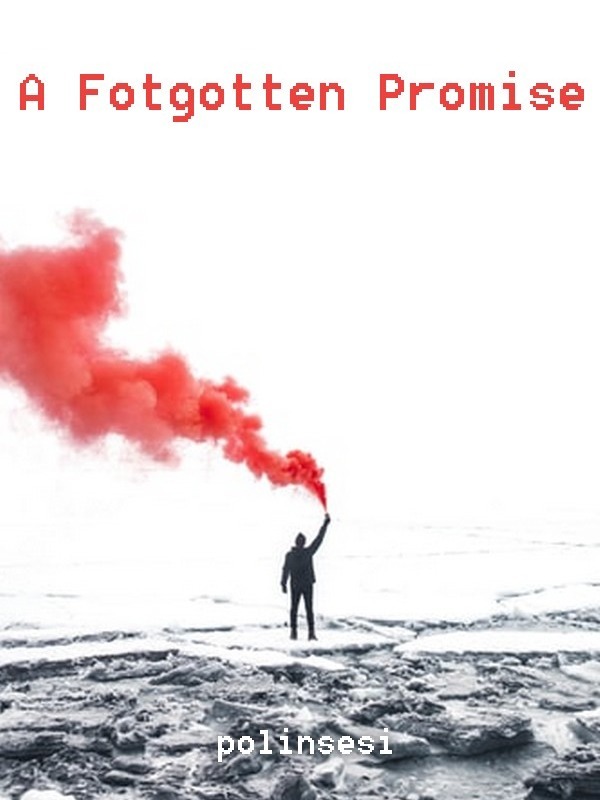 A forgotten Promise Book