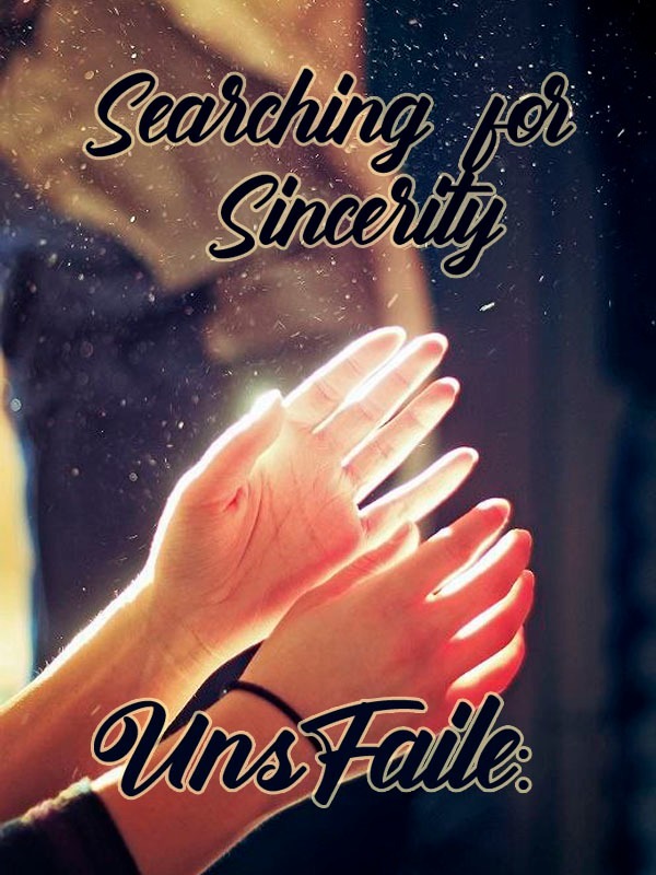 UnsFaile: Searching for Sincerity Book