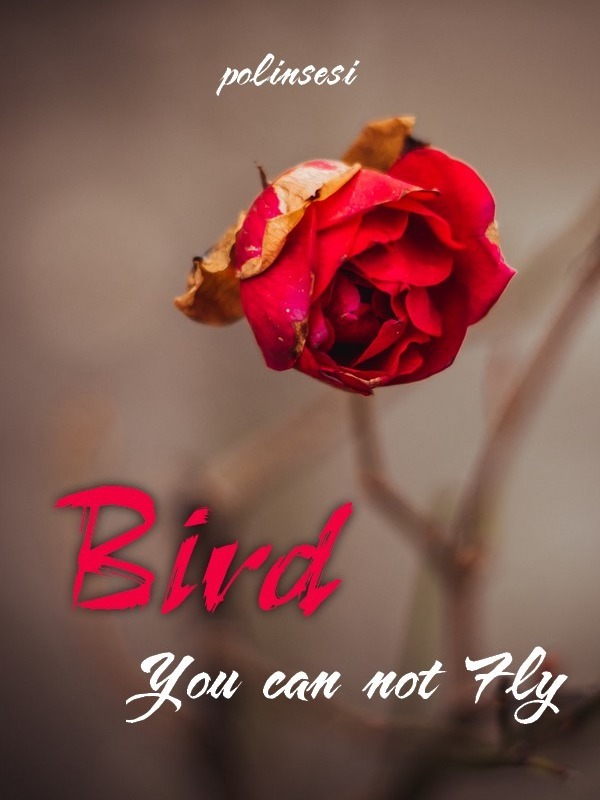 Bird You can not Fly Book
