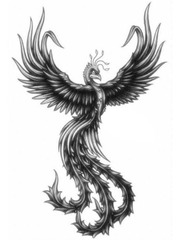Black Phoenix : reborn for revenge Book