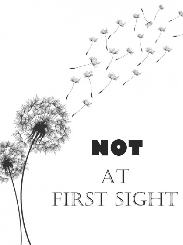 Not At First Sight Book