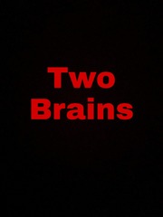 Two Brains Book
