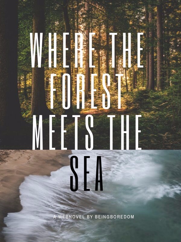 Where the Forest Meets the Sea Book