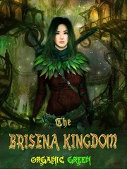 THE BRISENA KINGDOM Book