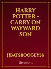 Harry Potter - Carry On Wayward Son Book