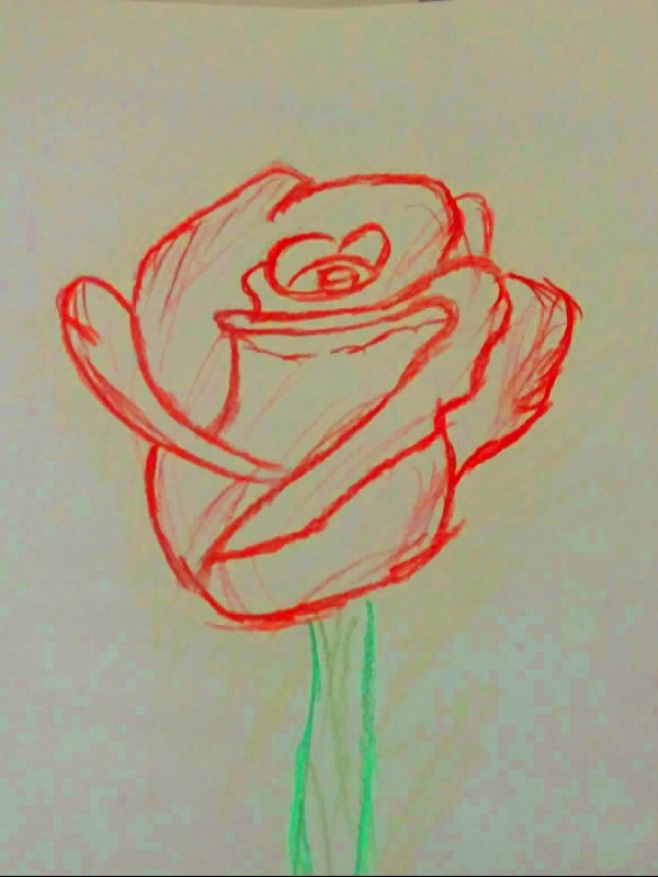 Thornless Rose Book