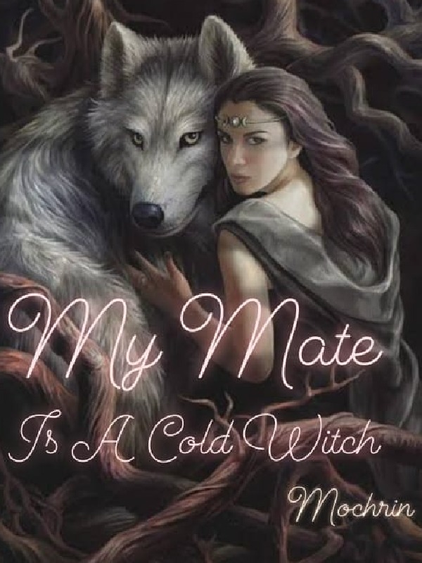 My Mate Is A Witch Book