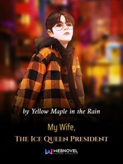 My Wife, The Ice Queen President Book