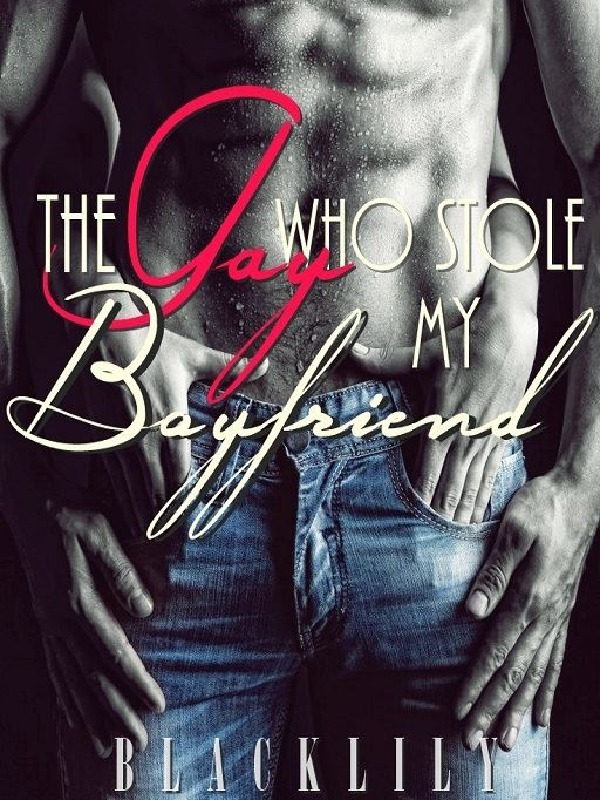 The Gay Who Stole My Boyfriend Book