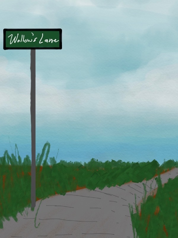 The Witch of Wallow Lane Book