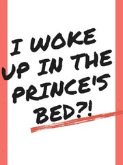 I woke up in the Prince's bed?! Book