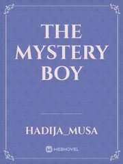 the  mystery boy Book