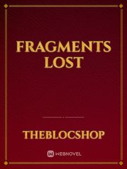 Fragments Lost Book