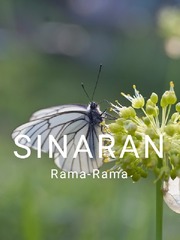 Sinaran Rama-Rama Book