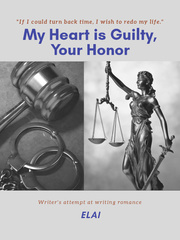My Heart is Guilty, Your Honor Book