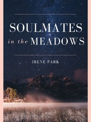 Soulmates in the Meadows Book