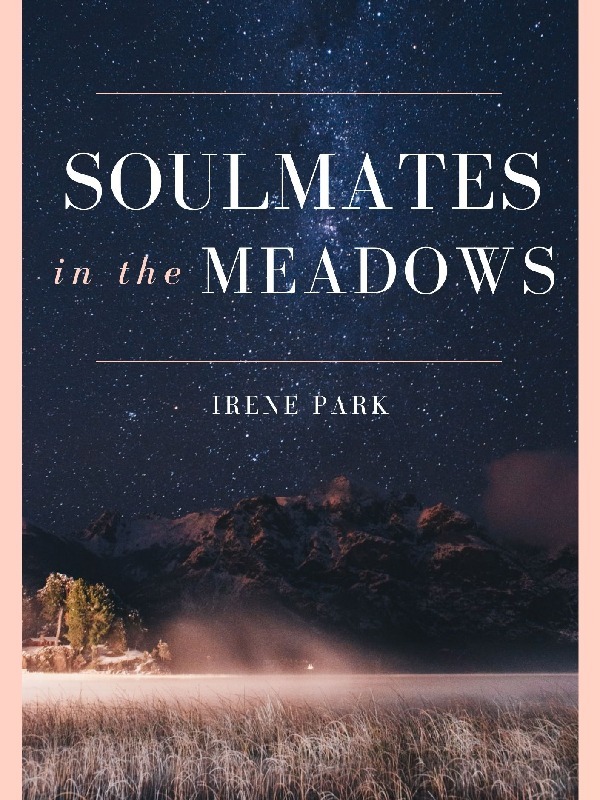 Soulmates in the Meadows Book