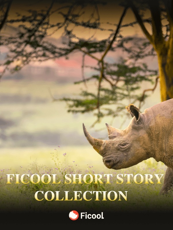 FICOOL SHORT STORY COLLECTION