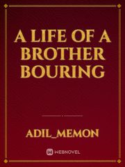 A life of a  brother bouring Book