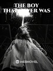 The boy that never was Book