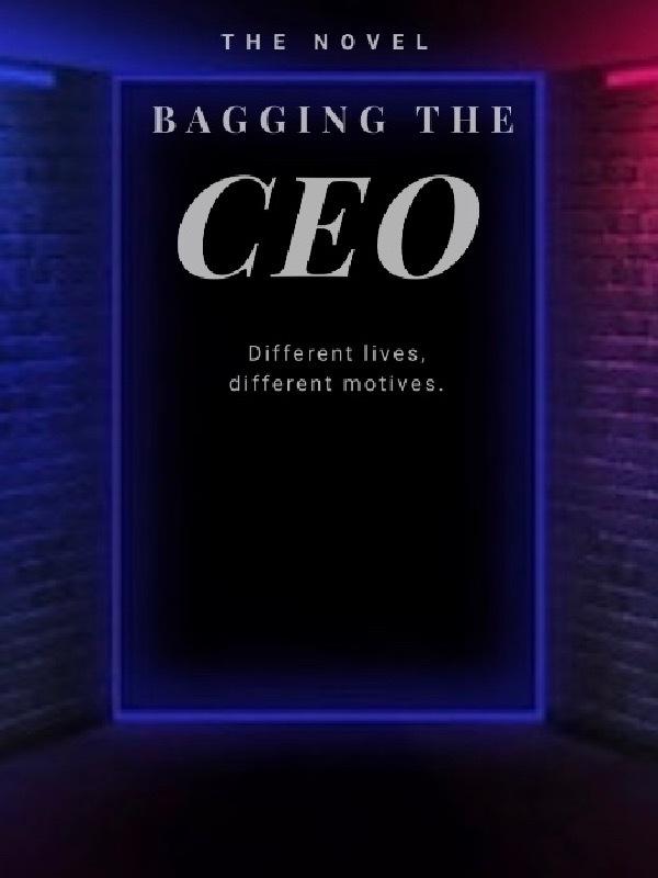 Bagging the handsome CEO Book