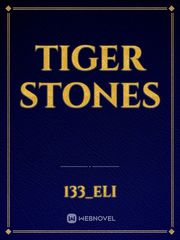 Tiger stones Book