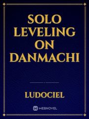 Solo Leveling on Danmachi Book