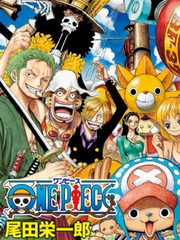 Surviving in the world of One Piece Book