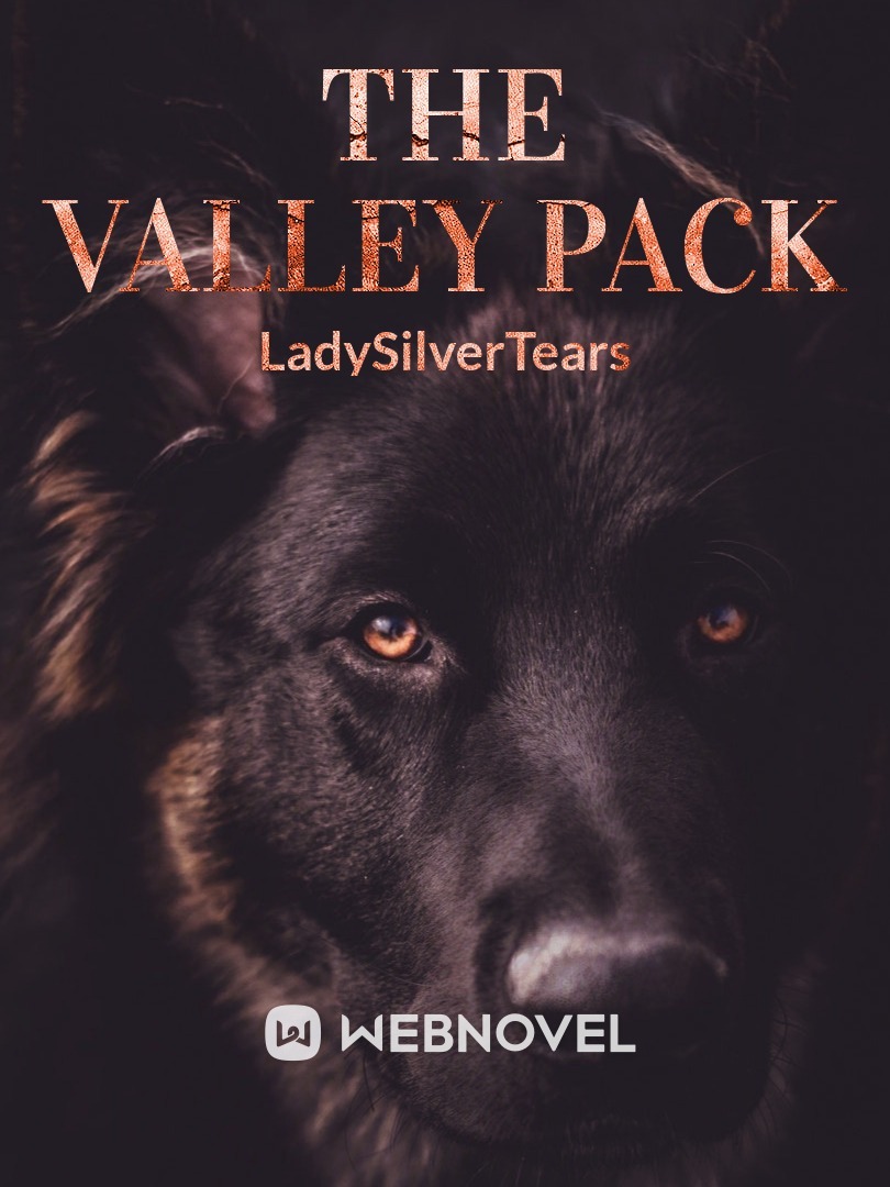 The Valley Pack Book