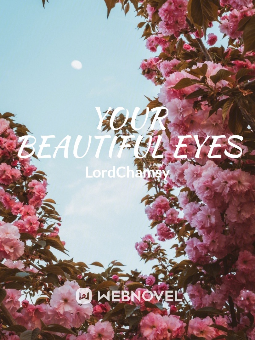 Your Beautiful Eyes Book