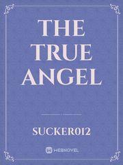 the true angel Book