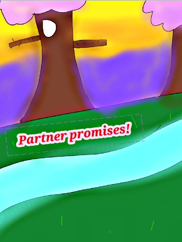 Partner Promise! Book
