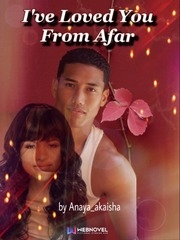 I've Loved You From Afar Book
