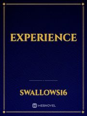 EXPERIENCE Book