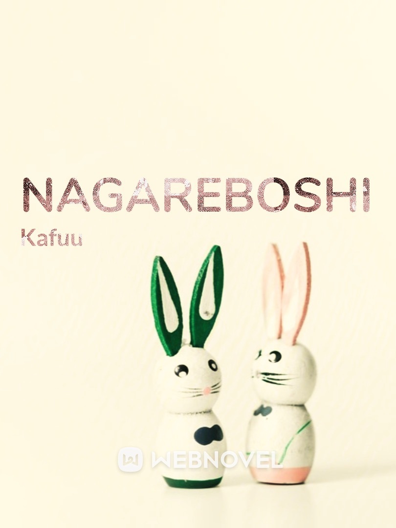 Nagareboshi Book