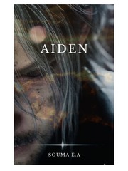 Aiden: the beginning Book