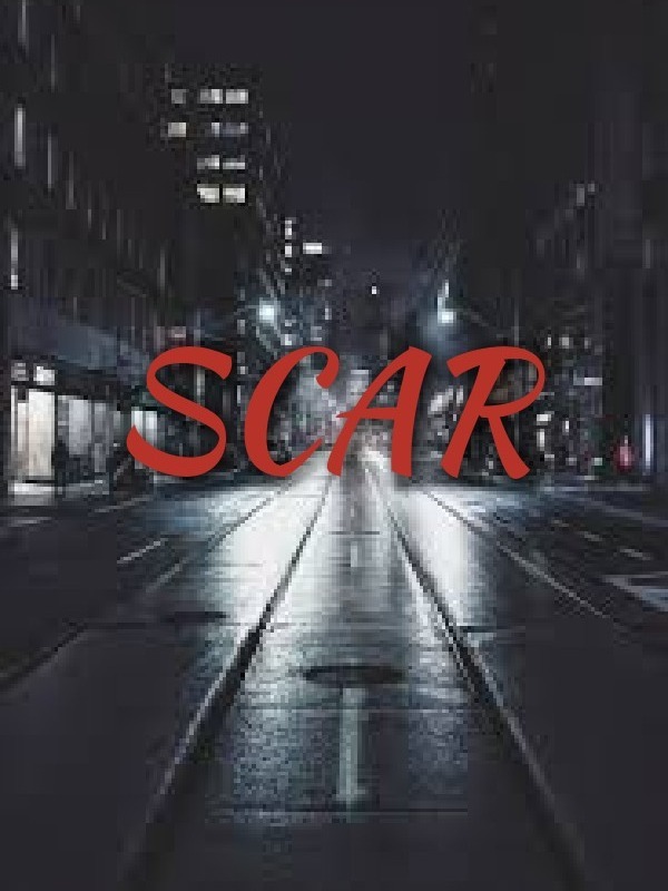 Scar: What Really Matters (Deleted) Book