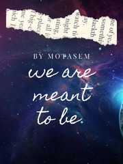 We are meant to be Book