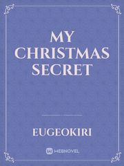 My Christmas secret Book