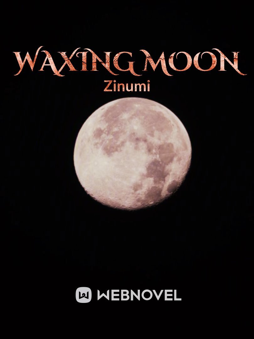 Waxing Moon Book