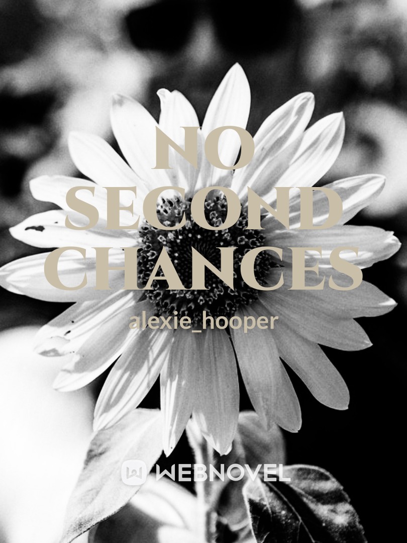 No second Chances Book