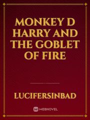 Monkey D Harry and the Goblet of Fire Book