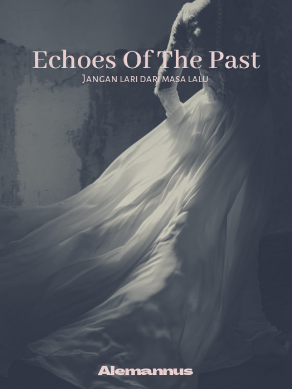 Echoes Of The Past Book