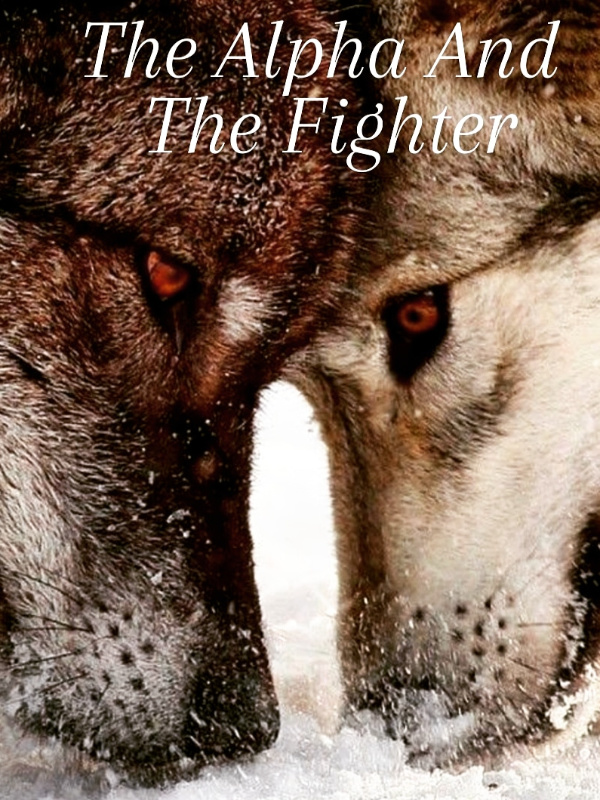 The Alpha And The Fighter