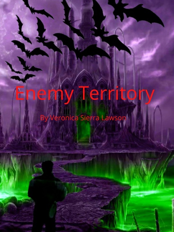 Enemy Territory Book