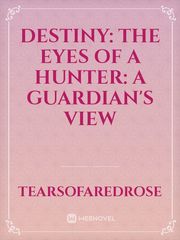 Destiny: The Eyes Of A Hunter: A Guardian's View Book