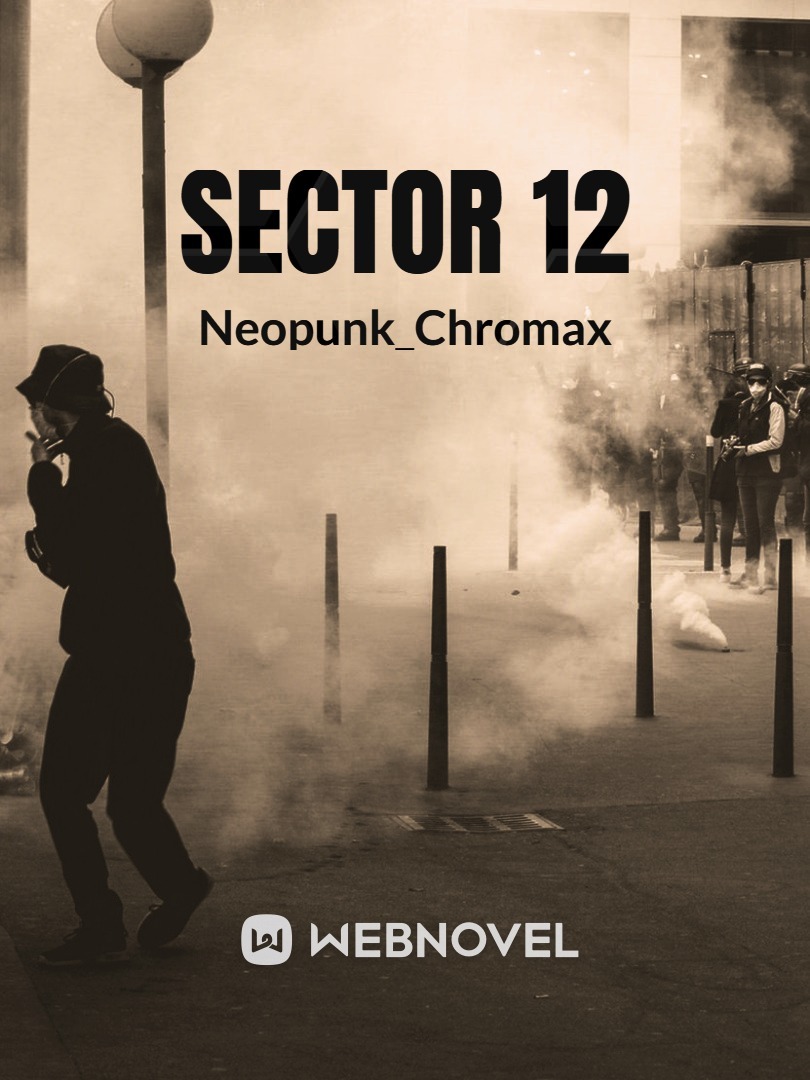 Sector 12 Book