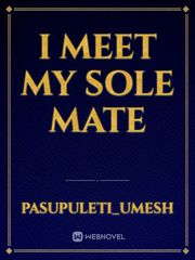 I meet my sole mate Book